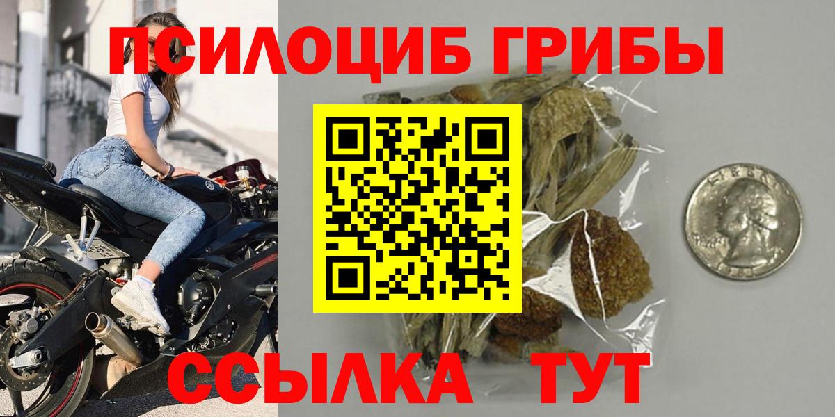 Каменка  Псилоцибиновые грибы мухоморы  Вход с VPN  Галлюциногенные грибы Magic Shrooms 