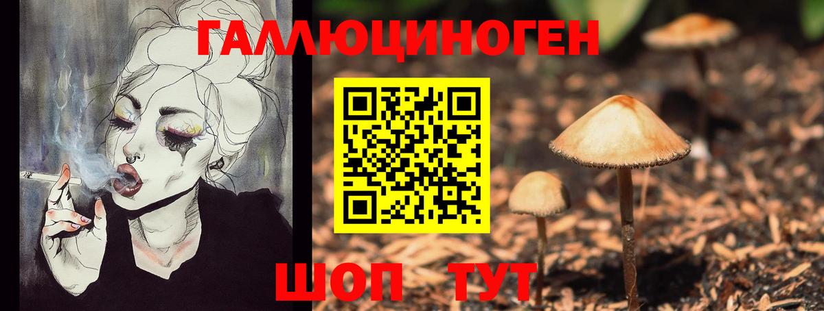 Галлюциногенные грибы Magic Shrooms Каменка